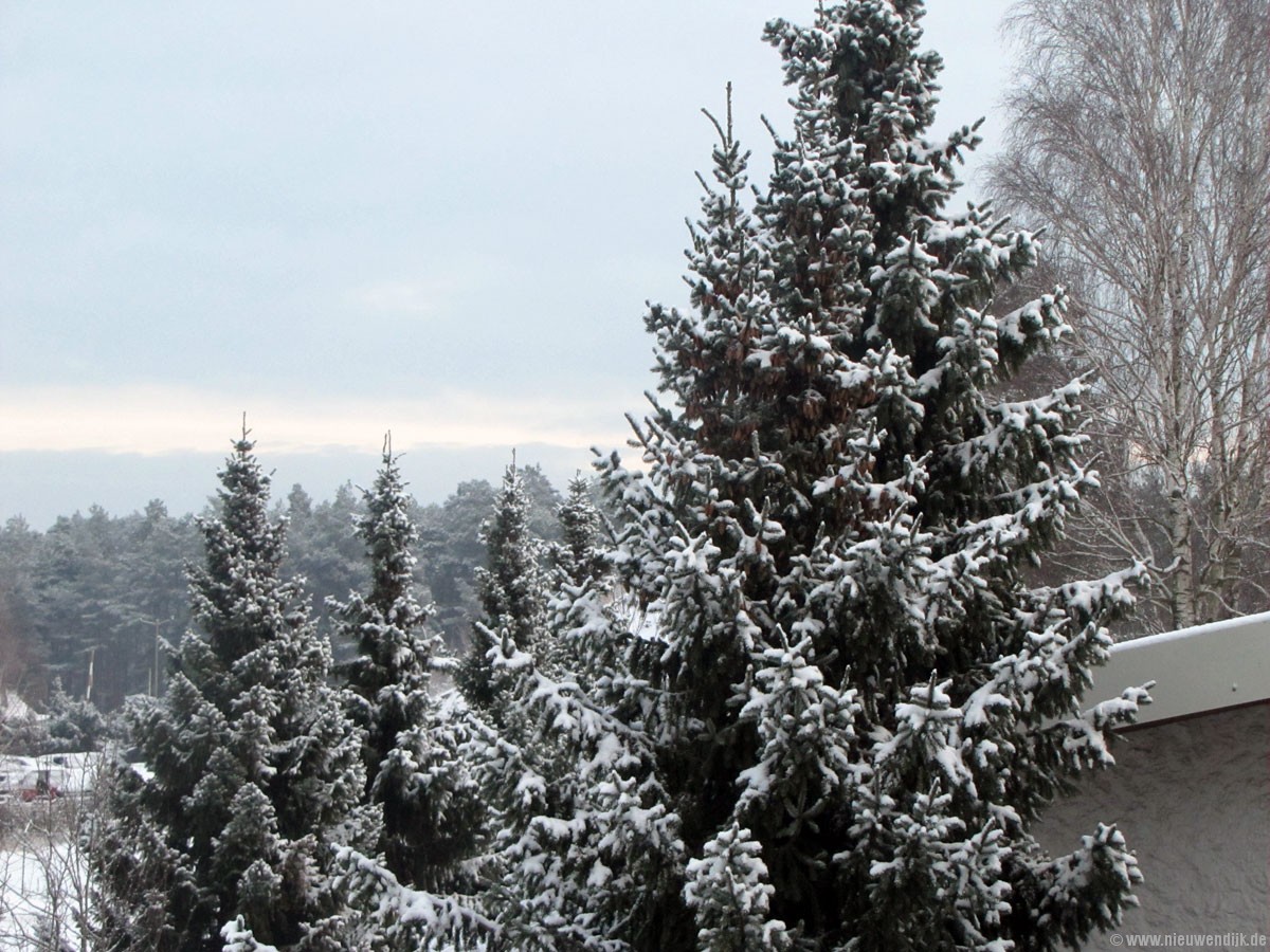 First snow of 12/13