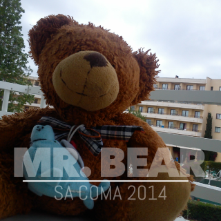 Mrbear2014