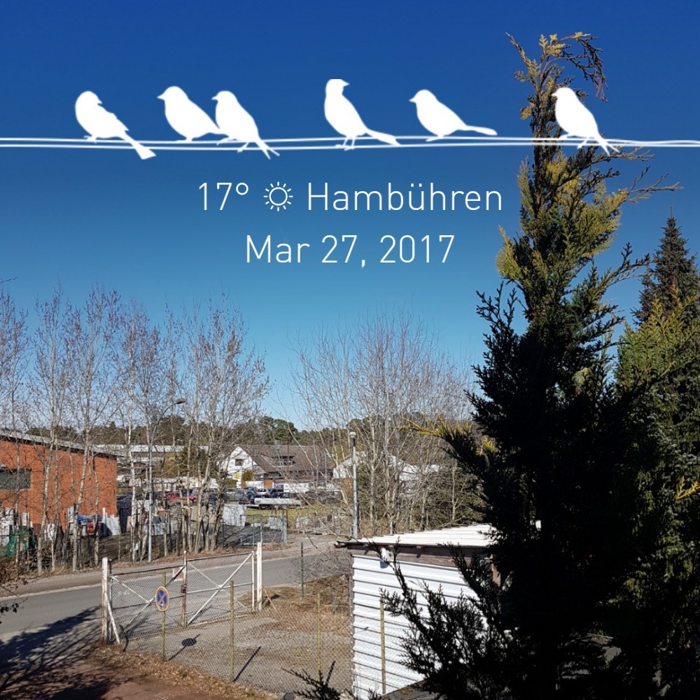 Weather 270317