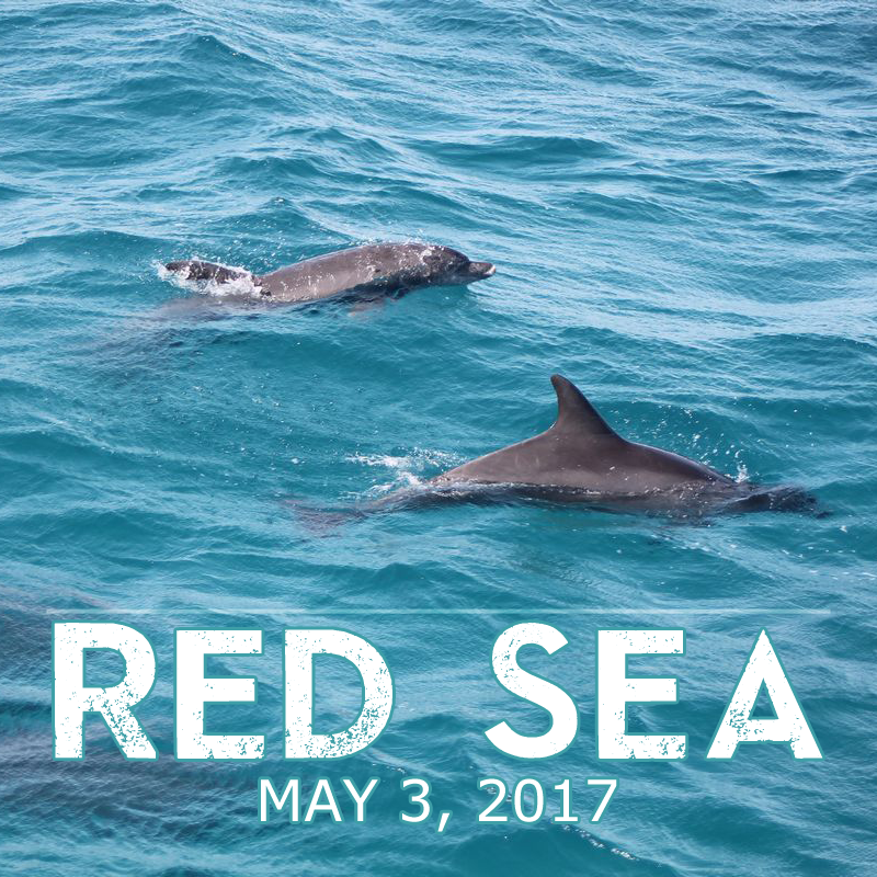 Red Sea May 3 2017