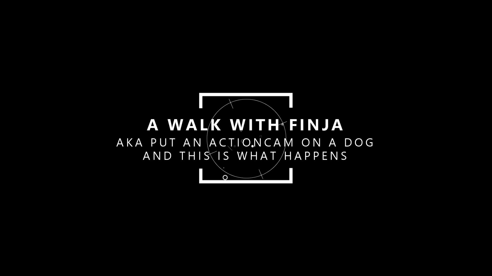 A Walk with Finja