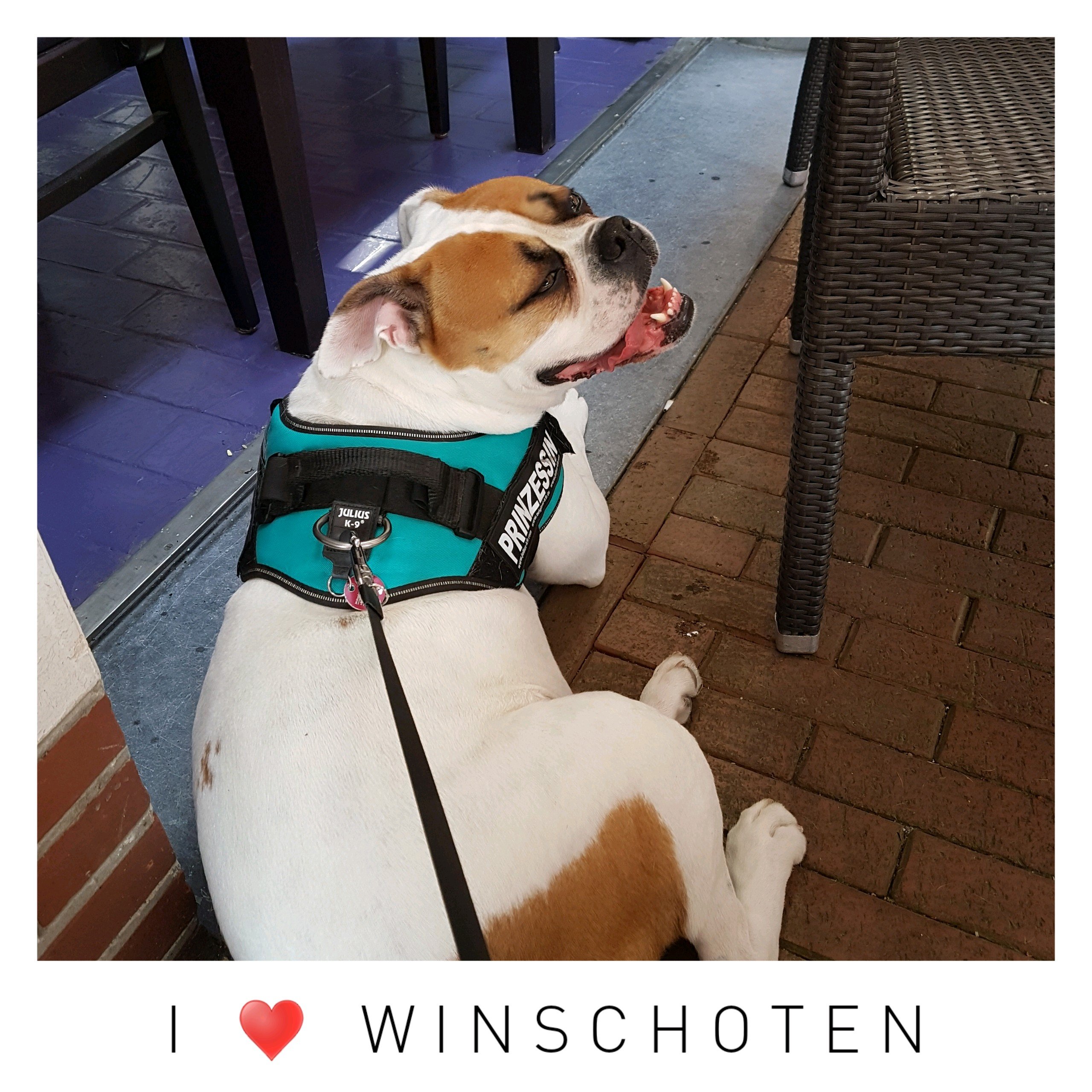 Winschoten 1