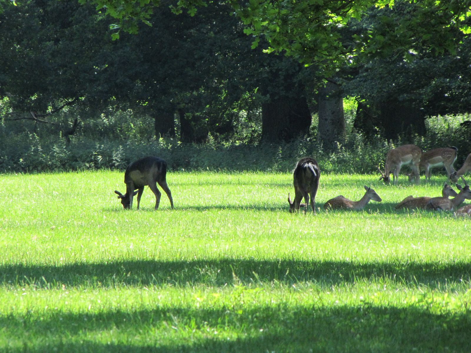 Hannover Zoo & Tiergarten