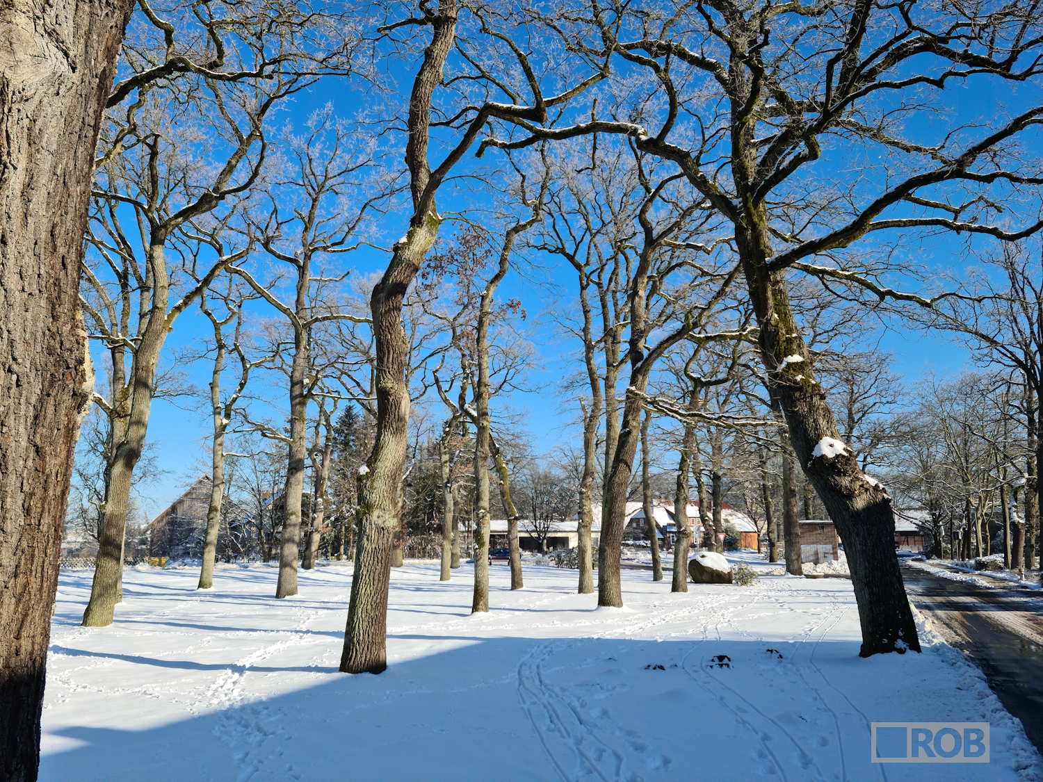 Snow in Winsen